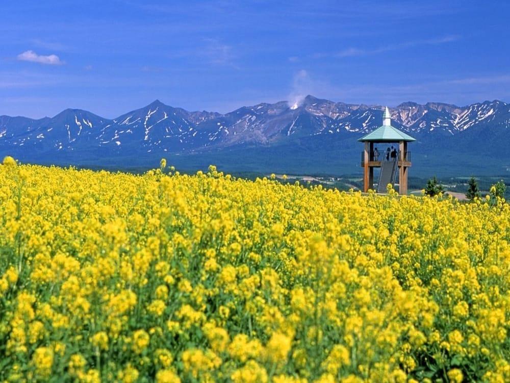 La Vista Furano Hills Natural Hot Spring Екстер'єр фото